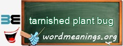 WordMeaning blackboard for tarnished plant bug